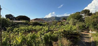 Terrain seul à Toulon en Var (83) de 494 m² à vendre au prix de 250000€ - 3