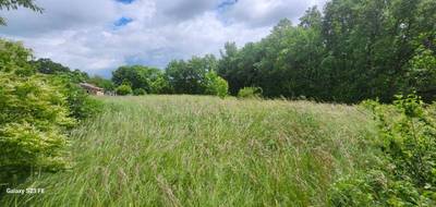 Terrain seul à Fauch en Tarn (81) de 1282 m² à vendre au prix de 57690€ - 1