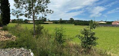 Programme terrain + maison à Saint-Gauzens en Tarn (81) de 110 m² à vendre au prix de 236000€ - 4