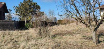 Programme terrain + maison à Archamps en Haute-Savoie (74) de 113 m² à vendre au prix de 642344€ - 3