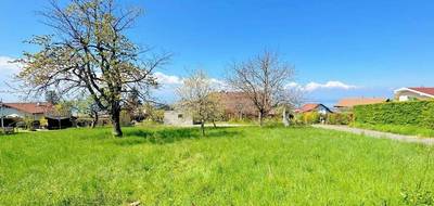 Programme terrain + maison à Marin en Haute-Savoie (74) de 98 m² à vendre au prix de 478871€ - 3