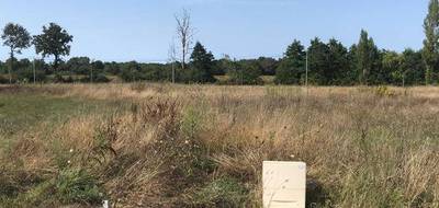 Programme terrain + maison à Notre-Dame-de-Riez en Vendée (85) de 81 m² à vendre au prix de 234000€ - 2
