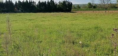 Terrain seul à Marcilloles en Isère (38) de 913 m² à vendre au prix de 84000€ - 4