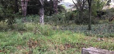 Programme terrain + maison à Vic-la-Gardiole en Hérault (34) de 110 m² à vendre au prix de 465000€ - 4