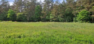 Programme terrain + maison à Melle en Deux-Sèvres (79) de 89 m² à vendre au prix de 158069€ - 4