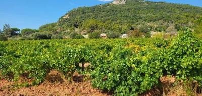 Programme terrain + maison à Gonfaron en Var (83) de 77 m² à vendre au prix de 275000€ - 4