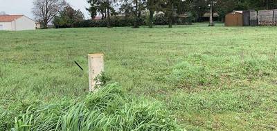 Programme terrain + maison à La Garnache en Vendée (85) de 80 m² à vendre au prix de 215911€ - 4