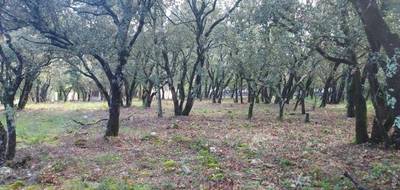 Terrain seul à Sainte-Anastasie-sur-Issole en Var (83) de 957 m² à vendre au prix de 161000€ - 3