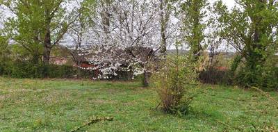 Terrain seul à Lévignac en Haute-Garonne (31) de 905 m² à vendre au prix de 145000€ - 1