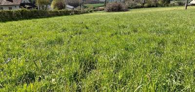 Terrain seul à Arpajon-sur-Cère en Cantal (15) de 1185 m² à vendre au prix de 71760€ - 3
