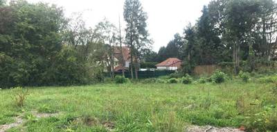 Programme terrain + maison à Marles-les-Mines en Pas-de-Calais (62) de 83 m² à vendre au prix de 240000€ - 2
