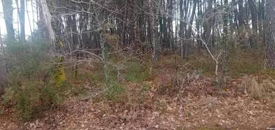 Terrain seul à Le Teich en Gironde (33) de 700 m² à vendre au prix de 195000€ - 2