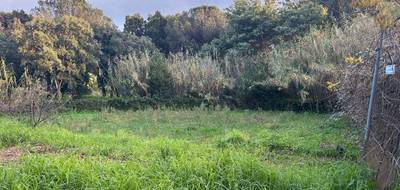 Terrain seul à Sainte-Maxime en Var (83) de 1050 m² à vendre au prix de 439900€ - 2