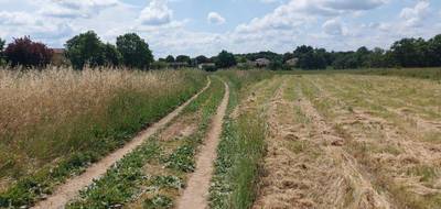 Programme terrain + maison à Savères en Haute-Garonne (31) de 166 m² à vendre au prix de 365000€ - 4