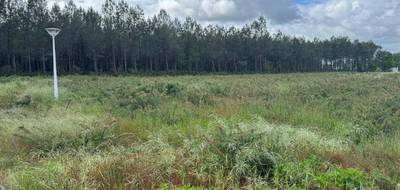 Terrain seul à Azur en Landes (40) de 610 m² à vendre au prix de 161650€ - 1
