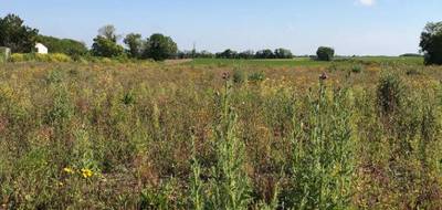 Terrain seul à Ardillières en Charente-Maritime (17) de 348 m² à vendre au prix de 43500€ - 2