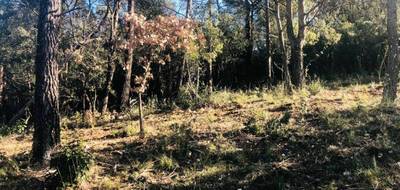 Terrain seul à Rocbaron en Var (83) de 840 m² à vendre au prix de 149000€ - 3