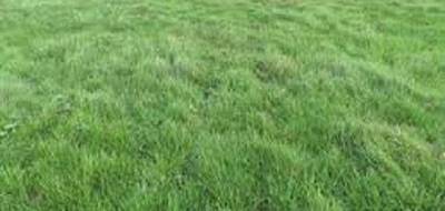 Programme terrain + maison à Villeblevin en Yonne (89) de 90 m² à vendre au prix de 215000€ - 3