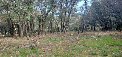 Terrain seul à Sainte-Anastasie-sur-Issole en Var (83) de 2700 m² à vendre au prix de 156000€ - 3