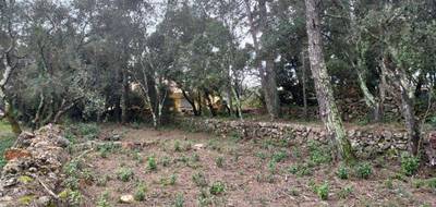 Terrain seul à Montfort-sur-Argens en Var (83) de 1212 m² à vendre au prix de 135000€ - 2