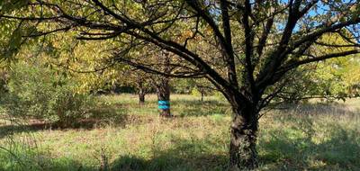 Terrain seul à Pignans en Var (83) de 500 m² à vendre au prix de 99000€ - 2