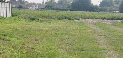 Programme terrain + maison à Audruicq en Pas-de-Calais (62) de 110 m² à vendre au prix de 260000€ - 3