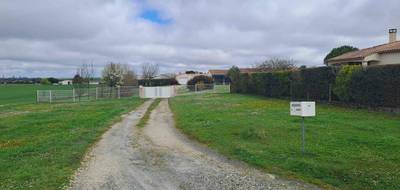 Programme terrain + maison à Meschers-sur-Gironde en Charente-Maritime (17) de 114 m² à vendre au prix de 445170€ - 3