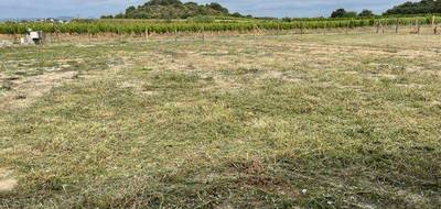 Terrain seul à Gignac en Hérault (34) de 500 m² à vendre au prix de 125000€ - 2