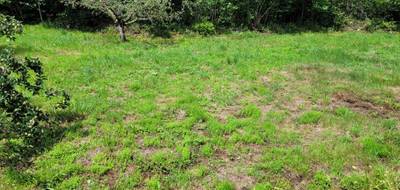 Programme terrain + maison à Maureillas-las-Illas en Pyrénées-Orientales (66) de 90 m² à vendre au prix de 292000€ - 3