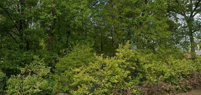 Terrain seul à Audenge en Gironde (33) de 1145 m² à vendre au prix de 295000€ - 1