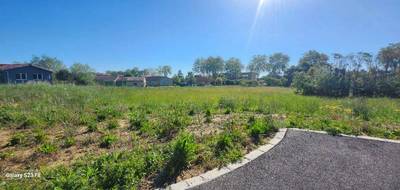 Terrain seul à Rabastens en Tarn (81) de 750 m² à vendre au prix de 88000€ - 4