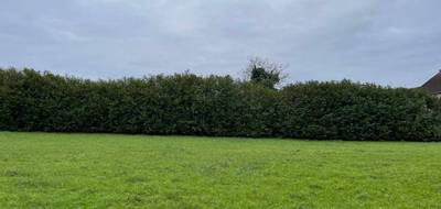 Programme terrain + maison à Châteauroux en Indre (36) de 85 m² à vendre au prix de 200950€ - 3