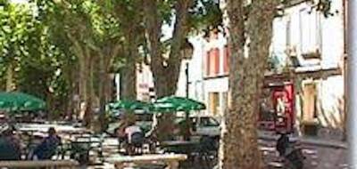 Terrain seul à Saint-Cannat en Bouches-du-Rhône (13) de 300 m² à vendre au prix de 245000€ - 3