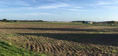 Terrain seul à Monnerville en Essonne (91) de 1011 m² à vendre au prix de 107000€ - 2