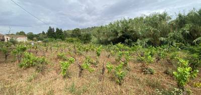 Programme terrain + maison à Pierrefeu-du-Var en Var (83) de 90 m² à vendre au prix de 349000€ - 4