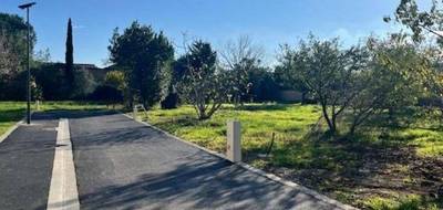 Programme terrain + maison à Blagnac en Haute-Garonne (31) de 110 m² à vendre au prix de 535000€ - 4