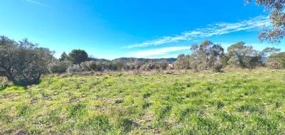 Terrain seul à Puget-sur-Argens en Var (83) de 2004 m² à vendre au prix de 250000€ - 1