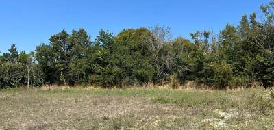 Programme terrain + maison à Villeneuve-lès-Bouloc en Haute-Garonne (31) de 95 m² à vendre au prix de 233000€ - 4