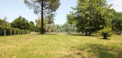 Programme terrain + maison à Fontainebleau en Seine-et-Marne (77) de 90 m² à vendre au prix de 283000€ - 3