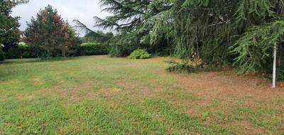 Terrain seul à Cadillac-en-Fronsadais en Gironde (33) de 810 m² à vendre au prix de 85000€ - 1