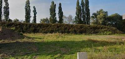 Terrain seul à Beuvry-la-Forêt en Nord (59) de 630 m² à vendre au prix de 108000€ - 1