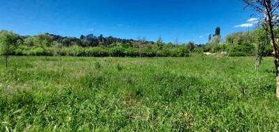 Terrain seul à Tourves en Var (83) de 570 m² à vendre au prix de 131000€ - 3