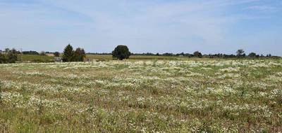 Programme terrain + maison à Bosc-Bérenger en Seine-Maritime (76) de 125 m² à vendre au prix de 251000€ - 4