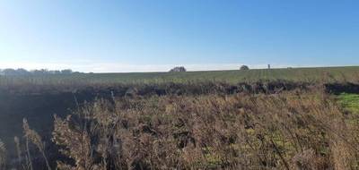 Programme terrain + maison à Seilh en Haute-Garonne (31) de 130 m² à vendre au prix de 394600€ - 4