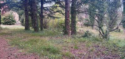 Terrain seul à Pélissanne en Bouches-du-Rhône (13) de 736 m² à vendre au prix de 260000€ - 1