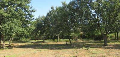 Programme terrain + maison à Montignargues en Gard (30) de 110 m² à vendre au prix de 299000€ - 4