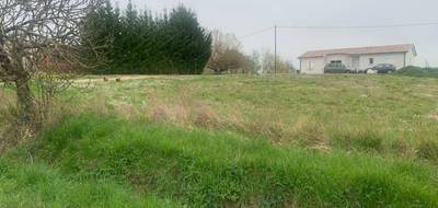 Terrain seul à Peyrière en Lot-et-Garonne (47) de 1000 m² à vendre au prix de 19000€ - 1