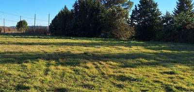 Programme terrain + maison à Corbières-en-Provence en Alpes-de-Haute-Provence (04) de 83 m² à vendre au prix de 237500€ - 4