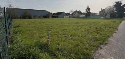 Programme terrain + maison à Démuin en Somme (80) de 73 m² à vendre au prix de 163732€ - 3