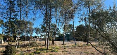 Terrain seul à Saint-Clément-de-Rivière en Hérault (34) de 396 m² à vendre au prix de 195000€ - 1